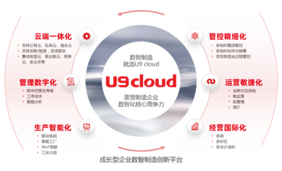 軟件產品的互聯網銷售 策略、優勢與挑戰